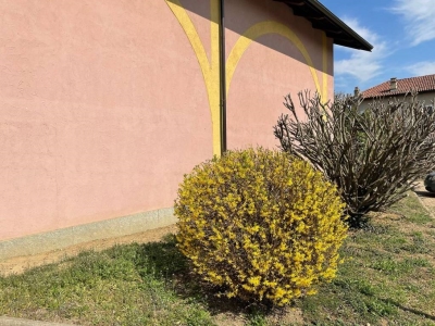 immagine annuncio 8 di 9