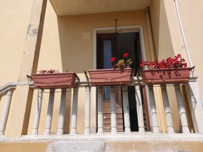 immagine annuncio 3 di 9