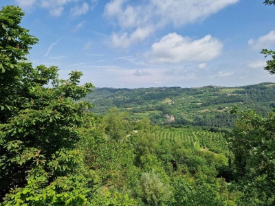 immagine annuncio 5 di 9