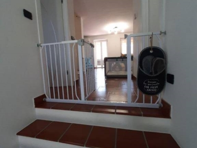 immagine annuncio 7 di 9