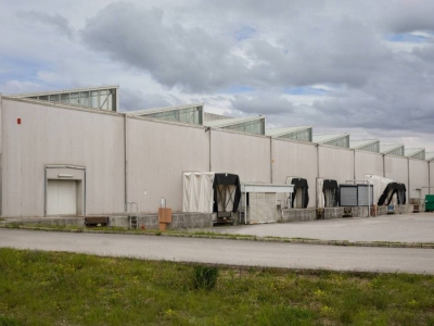 immagine annuncio 8 di 9