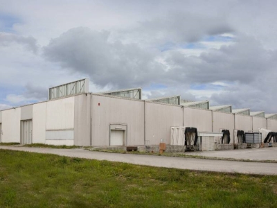 immagine annuncio 7 di 9