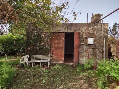 immagine annuncio 4 di 6