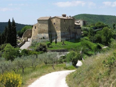 immagine annuncio 7 di 9
