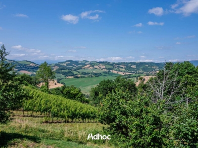 immagine annuncio 1 di 9