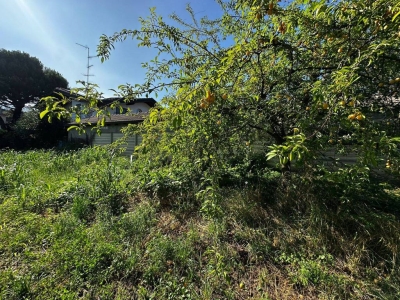 immagine annuncio 6 di 9