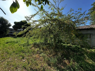 immagine annuncio 8 di 9