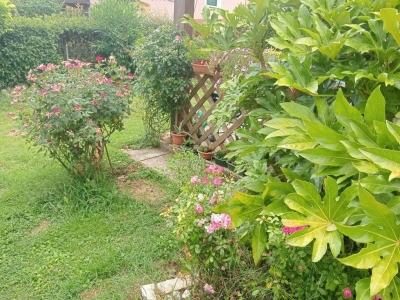 immagine annuncio 1 di 9