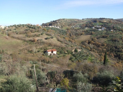 immagine annuncio 4 di 9