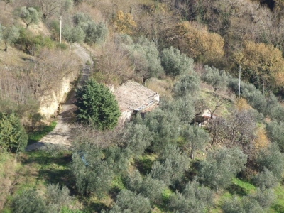 immagine annuncio 8 di 9