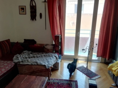 immagine annuncio 1 di 6