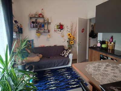 immagine annuncio 7 di 9