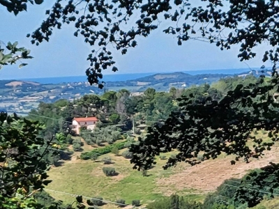 immagine annuncio 1 di 9