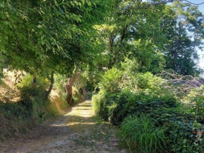 immagine annuncio 4 di 9
