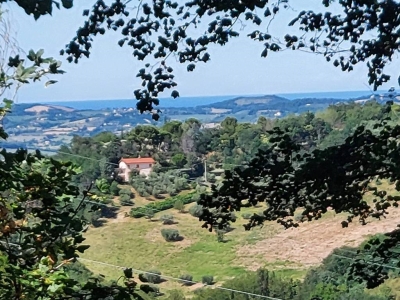 immagine annuncio 8 di 9