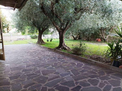 immagine annuncio 5 di 9