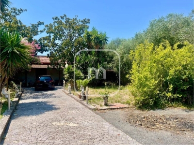 immagine annuncio 3 di 4