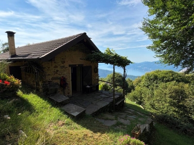 immagine annuncio 1 di 9