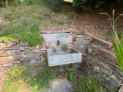 immagine annuncio 3 di 9