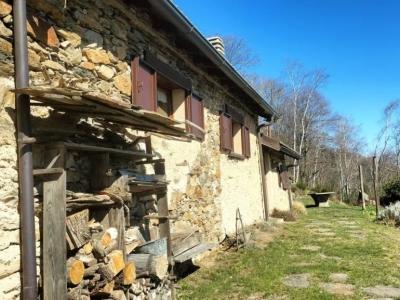 immagine annuncio 5 di 9