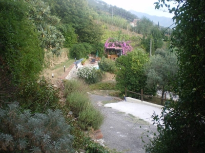immagine annuncio 6 di 9