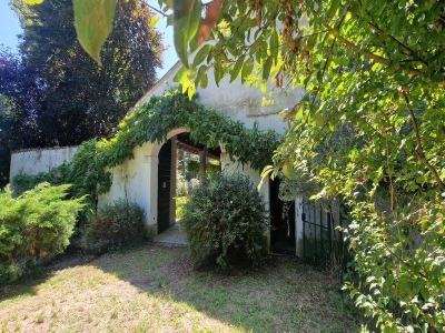 immagine annuncio 2 di 9