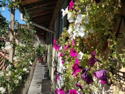 immagine annuncio 2 di 9