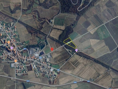 immagine annuncio 5 di 7