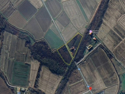 immagine annuncio 6 di 7