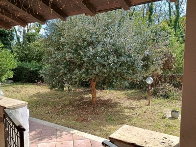 immagine annuncio 4 di 9