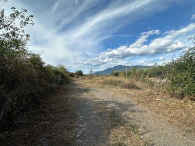 immagine annuncio 6 di 8