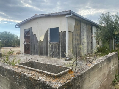 immagine annuncio 1 di 9