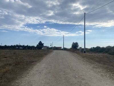 immagine annuncio 5 di 9