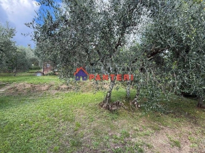 immagine annuncio 4 di 9