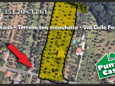immagine annuncio 2 di 9