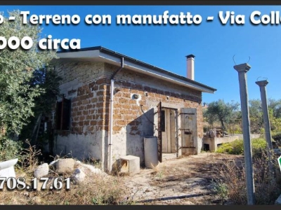 immagine annuncio 3 di 9