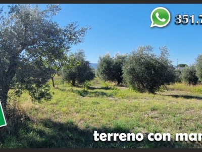 immagine annuncio 6 di 9