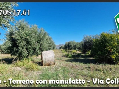 immagine annuncio 7 di 9