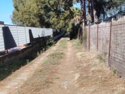 immagine annuncio 1 di 6