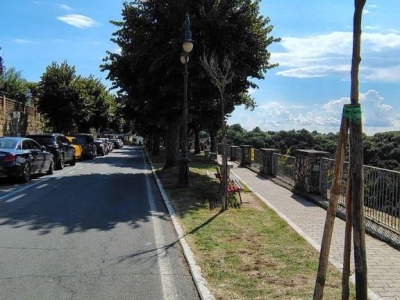 immagine annuncio 2 di 9