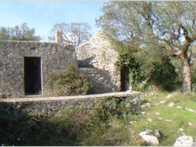 immagine annuncio 4 di 9