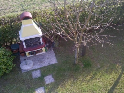 immagine annuncio 5 di 9