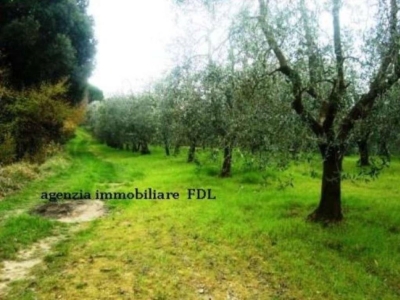 immagine annuncio 2 di 3