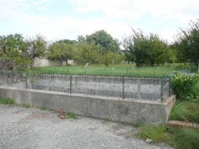 immagine annuncio 3 di 9