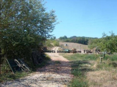 immagine annuncio 3 di 9
