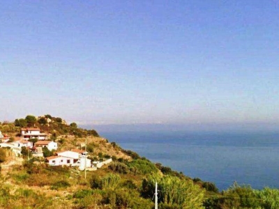 immagine annuncio 5 di 7