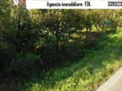 immagine annuncio 1 di 3