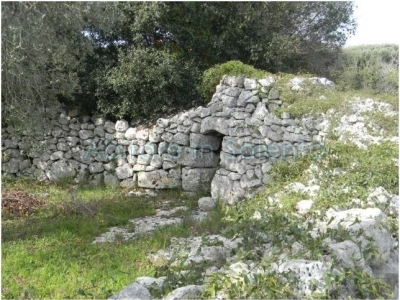 immagine annuncio 4 di 9