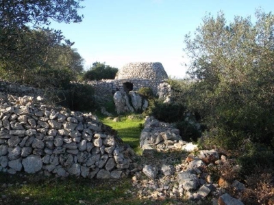 immagine annuncio 6 di 9