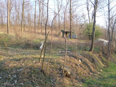immagine annuncio 1 di 6